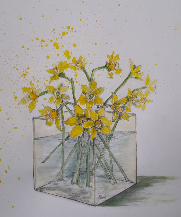 daffodils 2, 2016